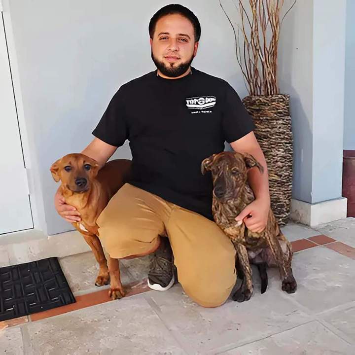 Can Dog Obedience Training Help With Behavioral Issues?<br/>Can Behavioral Problems Be Solved Through Dog Obedience Training? <br/>Is Obedience Training Effective for Behavioral Problems in Dogs?